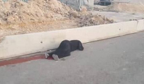شهيدة برصاص الاحتلال قرب حاجز قلنديا شمال القدس