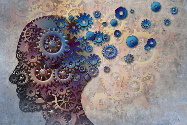 Cooperation of Chinese & Iranian Researchers in the Field of Cognitive Sciences