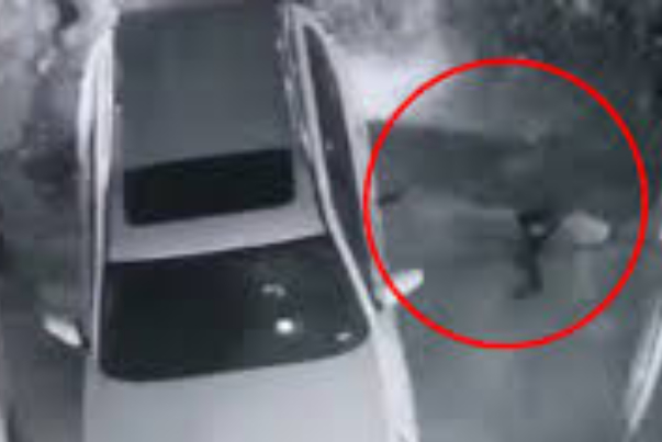 اغتيال الخبير الأمني العراقي هشام الهاشمي.. ايران تدين وهذه أسباب اغتياله (فيديو)