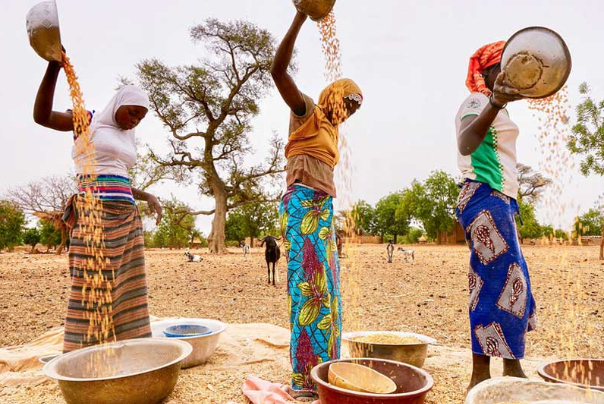 Capitalism and the Fabrication of Food Insecurity