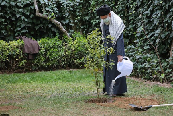 Environmental conservation: Religious and revolutionary