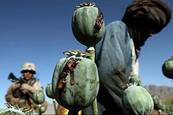 The fight against drugs and the inverted soles of global claimants
