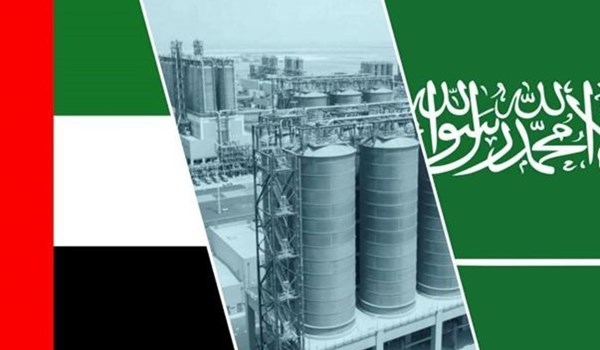 صحيفة بريطانية: خلاف الإمارات مع السعودية قد يدفعها لترك "أوبك"