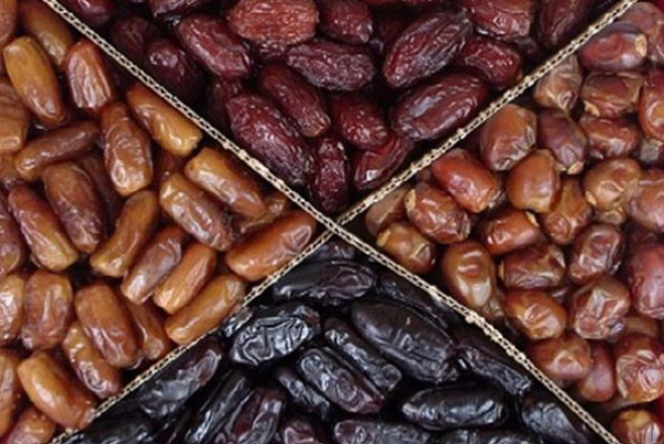 تسجيل 6 أنواع من التمور الإيرانية عالميا
