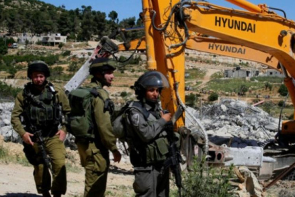 צה"ל דוחס אדמות, עוקר עצים בחברון