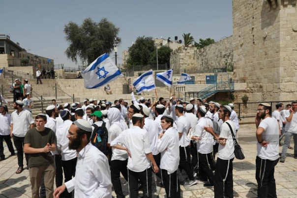 المقاومة تتوعّد باجتثاث الاحتلال ردّا على استفزازات قطعانه في القدس المحتلة