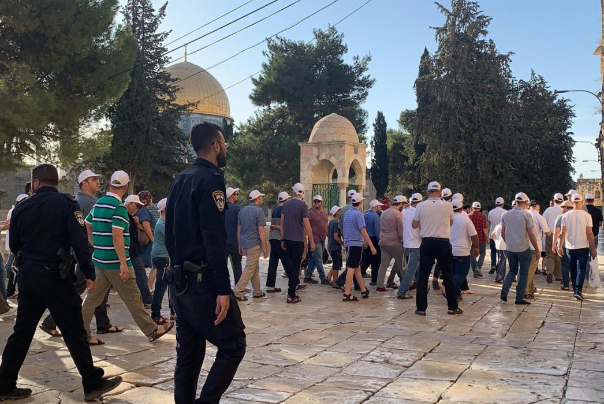 مستوطنون يقتحمون الأقصى بحماية مشددة من جنود الاحتلال