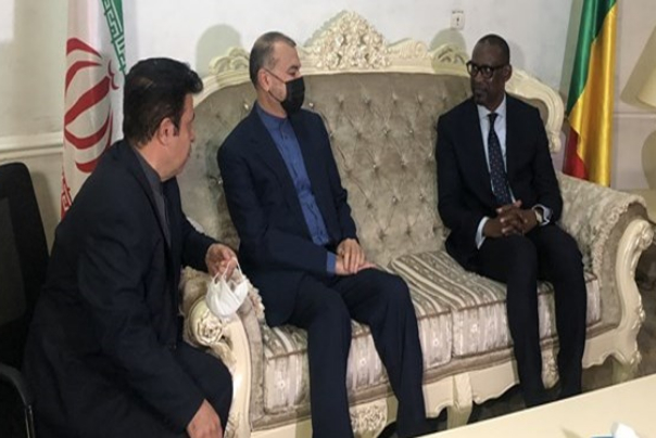 وزير الخارجية يفتتح جولته الإفريقية بزيارة مالي