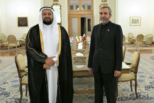 باقري كني: الحكومة تعمل على تعزيز التعاون الإقليمي في اطار سياسة الجوار
