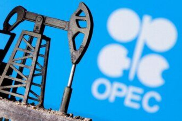 Иран и ОПЕК обсудили двустороннее сотрудничество