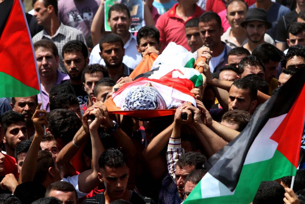 171 شهيدًا في فلسطين منذ بداية العام