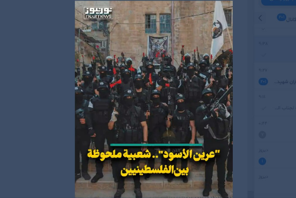 عرين الاسود.. شعبية ملحوظة بين الفلسطينيين