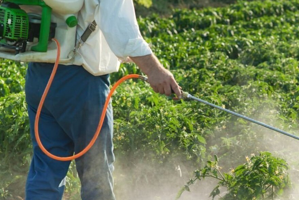 خبراء ايرانيون ينتجون مبيد نانو لا يبقى على المنتجات الزراعية