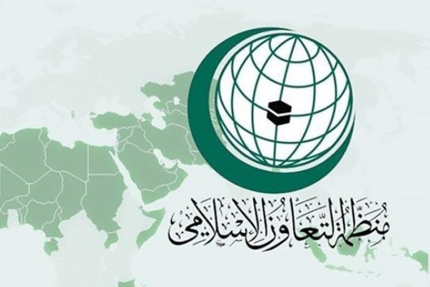 Организация исламского сотрудничества провела экстренное заседание по поводу событий в секторе Газа