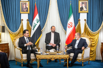 Dr. Ahmadian: We do not place any restrictions on expanding relations with our neighbors