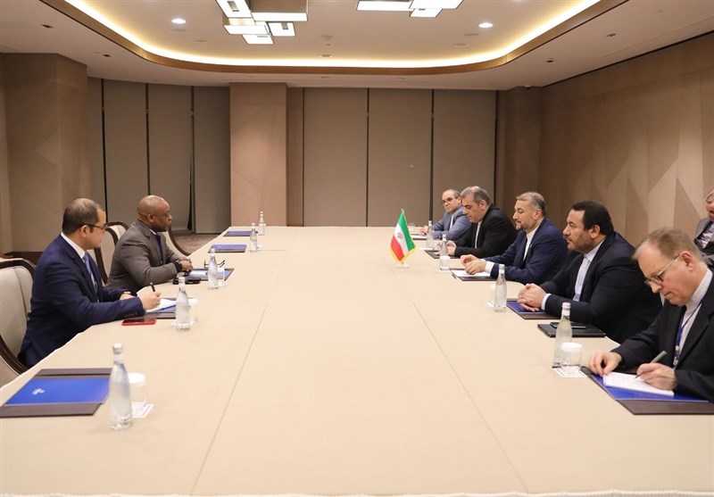 Iran hails D8's support for Palestinian people