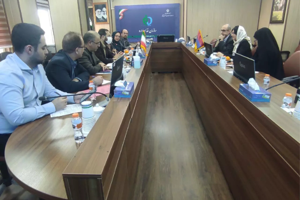 Iran ready to export medicine to Armenia: Official
