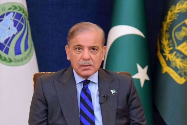 Shehbaz Sharif elected as Pakistan's prime minister for second term