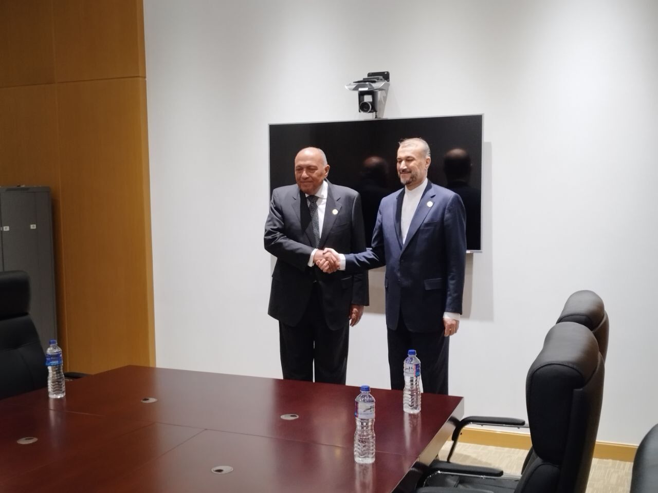 Iran, Egypt FMs meet in Gambia