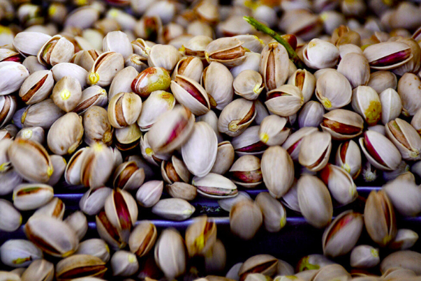 Iran pistachio exports to EU up 17% y/y in first quarter 2024