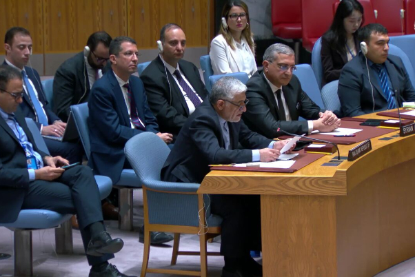 Iran reiterates political solution to situation in Syria