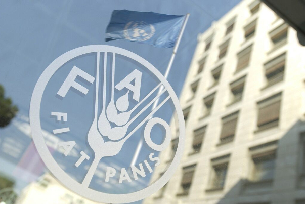ФАО пытается превратить Иран в центр продовольственной безопасности стран региона