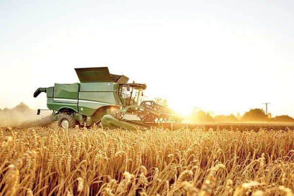 Iran’s agricultural export up $1 billion in one year