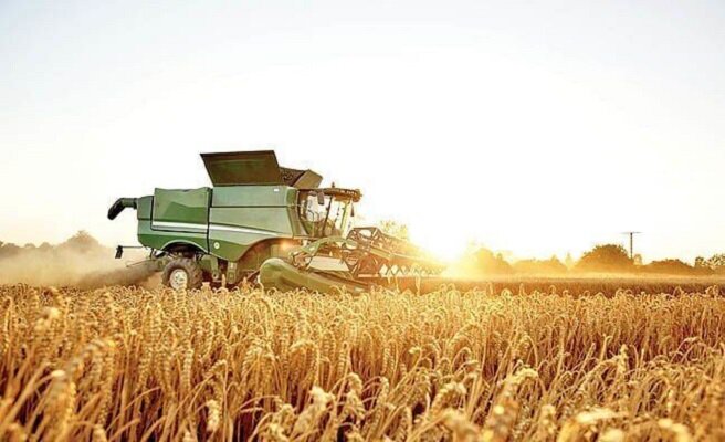 Iran's quarterly export of agricultural products up 37% yr/yr