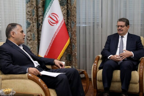 Iran has geopolitical status for energy transit in West Asia