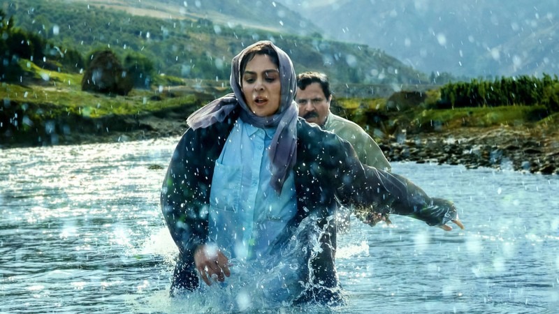 ‘In the Arms of the Tree’ picked as Iran’s Oscar representative