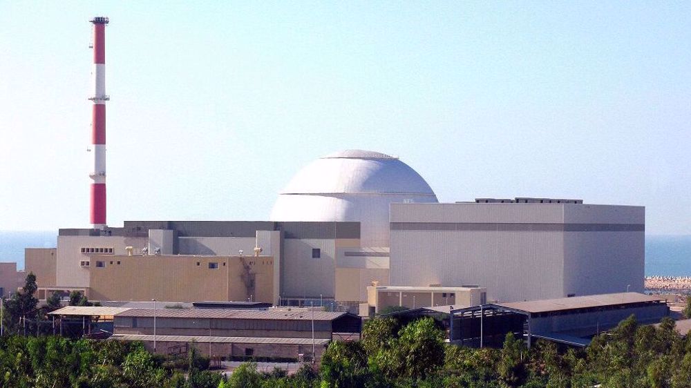 Electricity production at Iran’s only nuclear power plant at record highs
