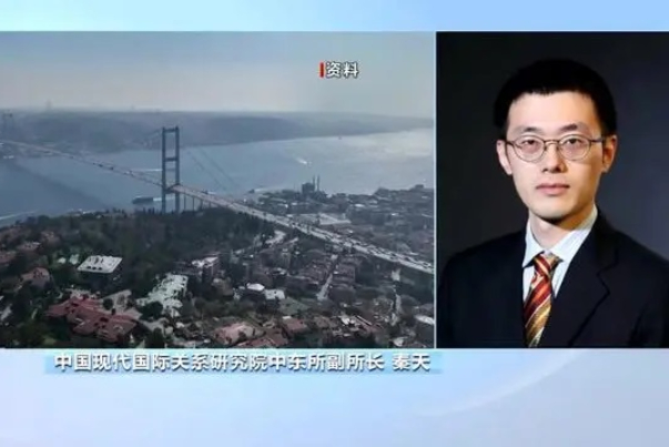 中国专家：伊朗外长访问土耳其 借助土方优势向外传递意图