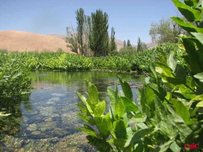Nature’s gift at Dimeh Spring
