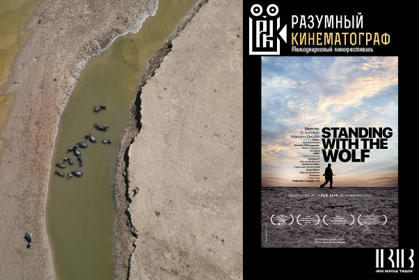 Документальный фильм «Стоя с волком» войдет в фестиваль «Смарт кино» в России
