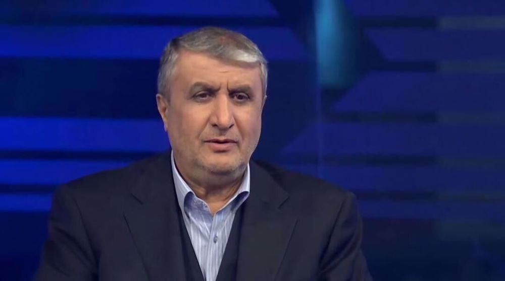 Eslami: Iran's nuclear program completely transparent