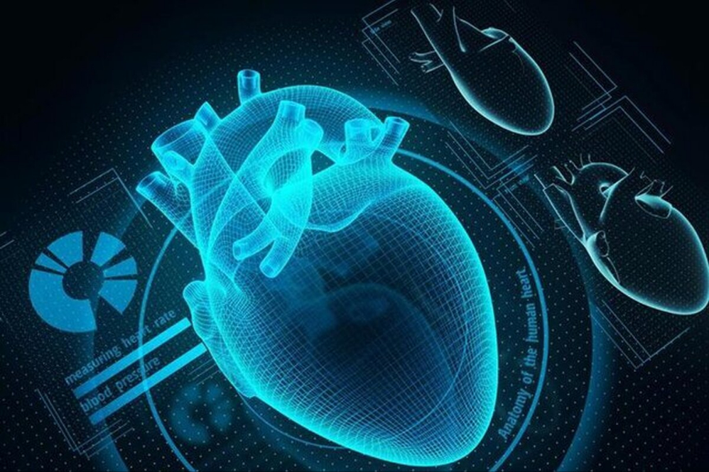 من خلال فحص عضلة الساق.. نظام تحذير لقصور القلب في ايران