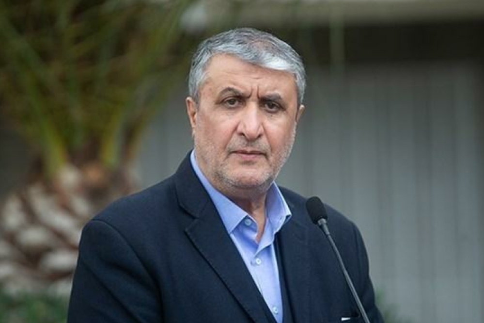 Эслами: Мы начали партнерство с частным сектором в Организации по атомной энергии