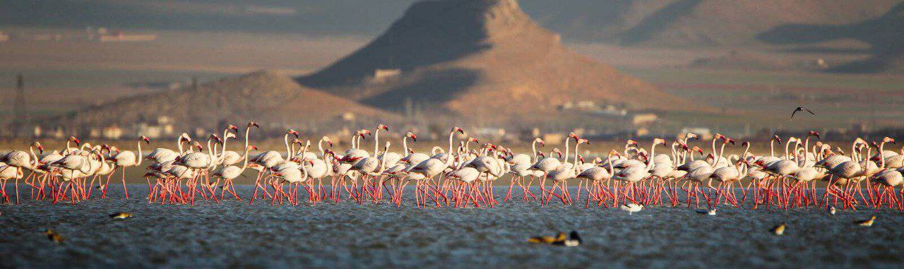 Introduction to Tourist Attractions of Iranian Cities