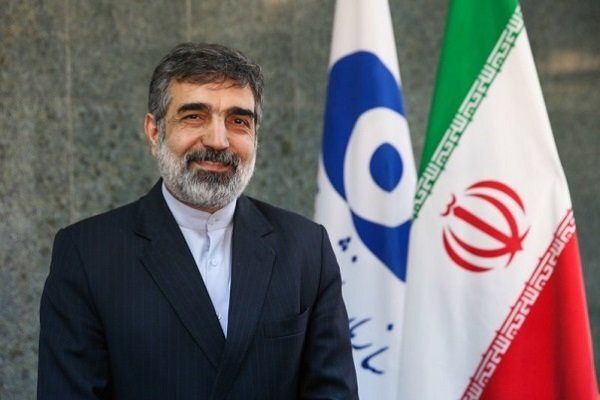 Deputy AEOI chief: Iran not a sole state enriching uranium without having nukes
