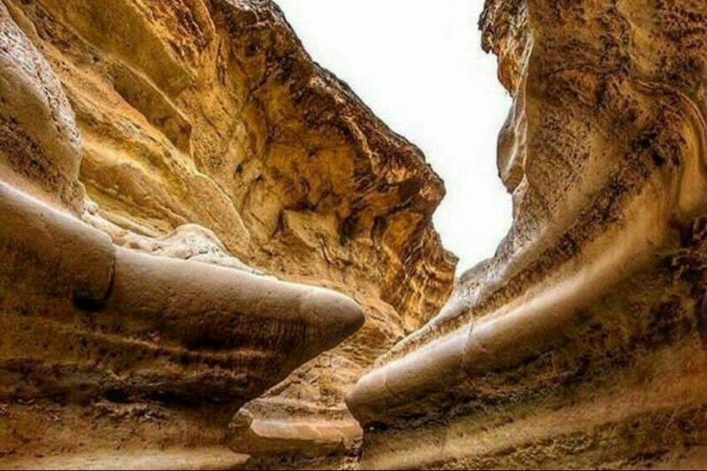 بدره