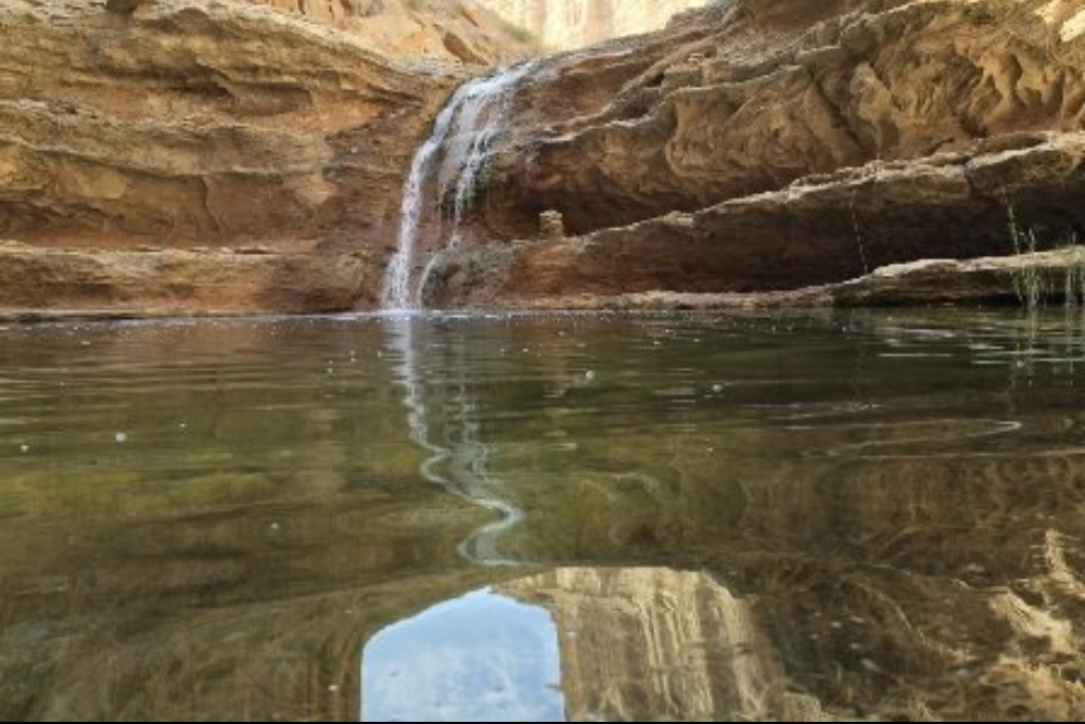 بُردَخون