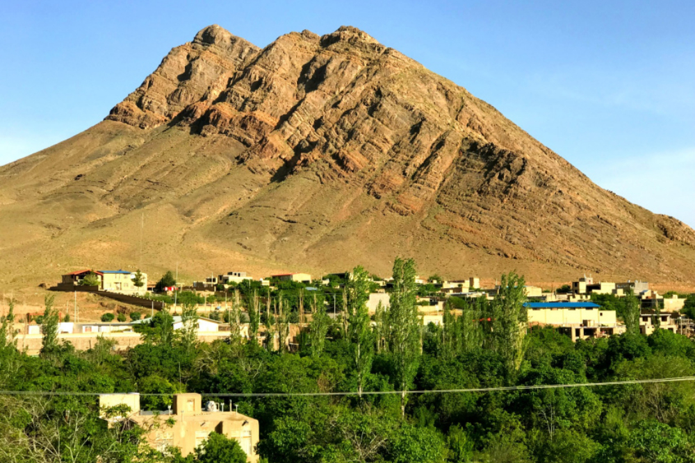 برزک
