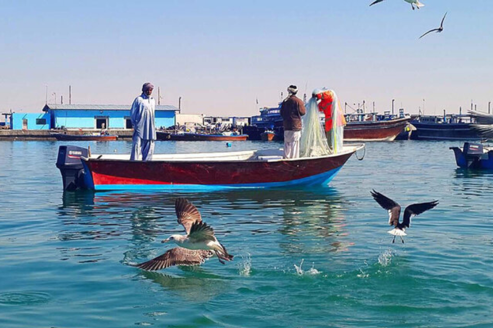 السعودية تُفرج عن 12 صياداً من محافظة بوشهر