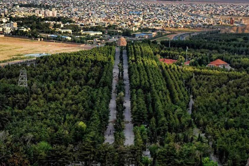 Baravat