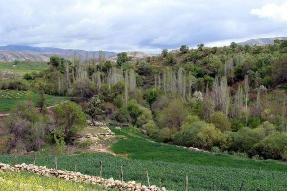 بدره