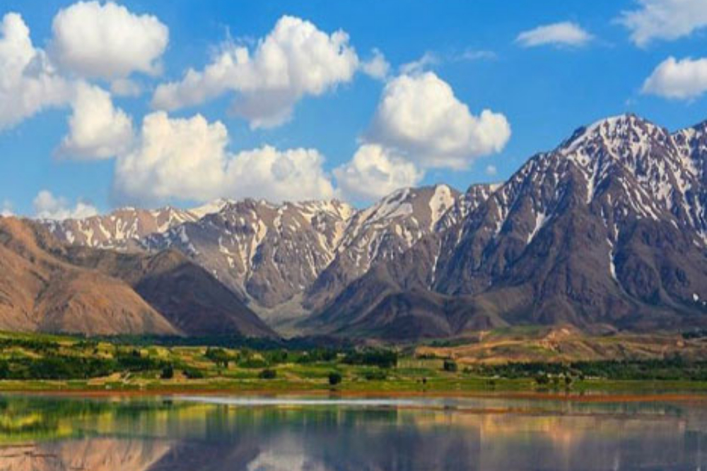 بلداجی