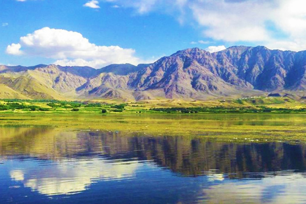 بلداجی