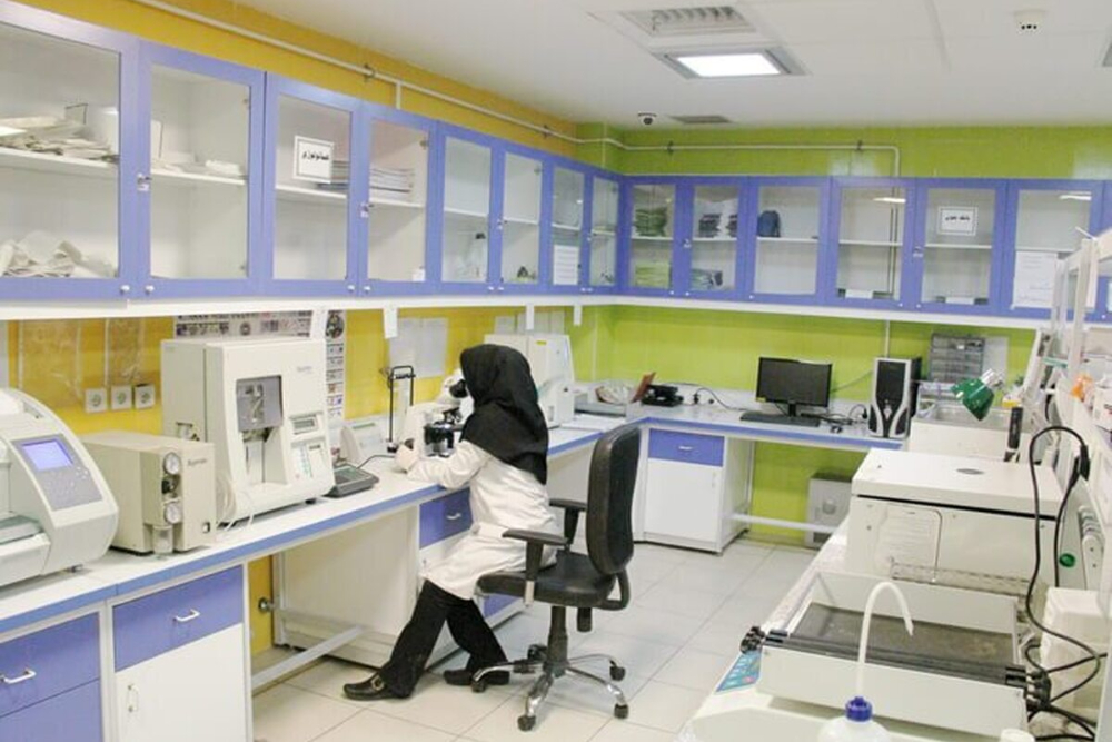 دراسة إيرانية تكشف دور DMF في تقليل التهابات المفاصل والأعراض المناعية