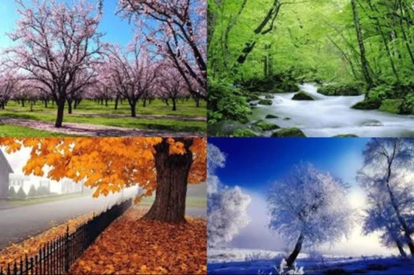 Iran at the top of the list of superior four-season countries
