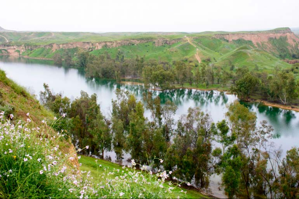 بهبهان